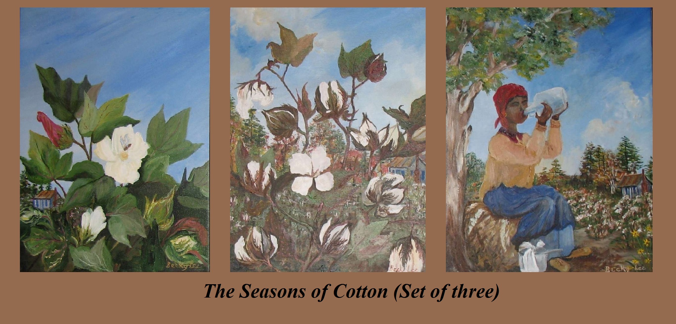 The Seasons of Cotton